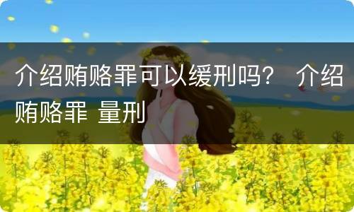 介绍贿赂罪可以缓刑吗？ 介绍贿赂罪 量刑