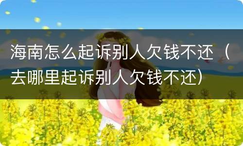 海南怎么起诉别人欠钱不还（去哪里起诉别人欠钱不还）