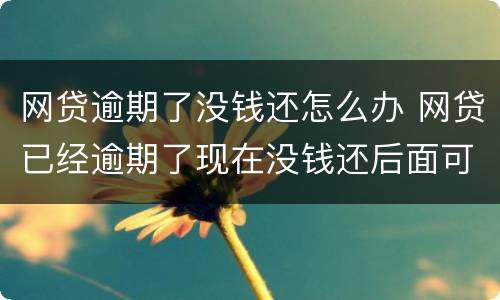 网贷逾期了没钱还怎么办 网贷已经逾期了现在没钱还后面可以还吗