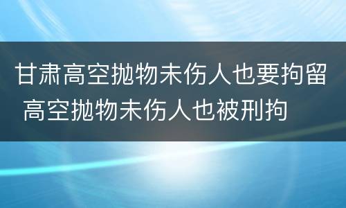 甘肃高空抛物未伤人也要拘留 高空抛物未伤人也被刑拘