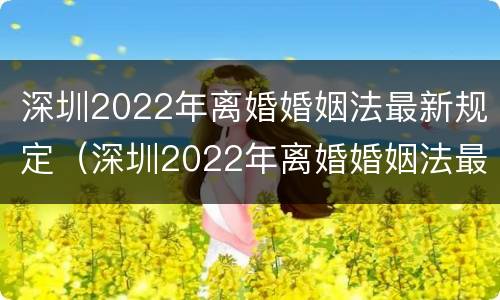 深圳2022年离婚婚姻法最新规定（深圳2022年离婚婚姻法最新规定是）