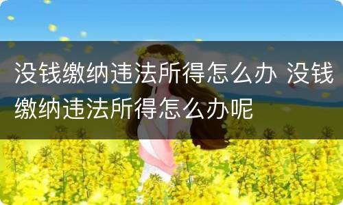 没钱缴纳违法所得怎么办 没钱缴纳违法所得怎么办呢