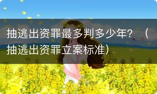 抽逃出资罪最多判多少年？（抽逃出资罪立案标准）