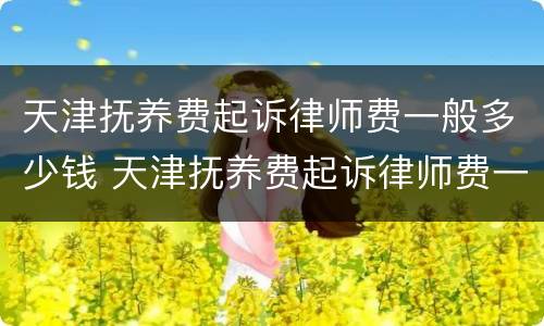 天津抚养费起诉律师费一般多少钱 天津抚养费起诉律师费一般多少钱啊