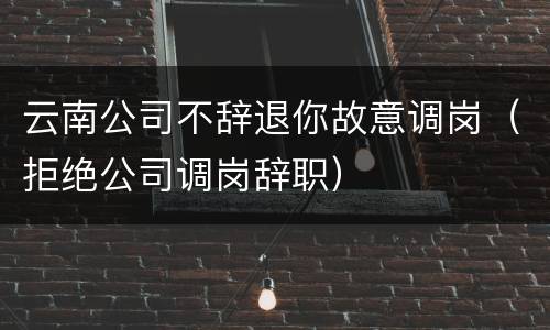 云南公司不辞退你故意调岗（拒绝公司调岗辞职）
