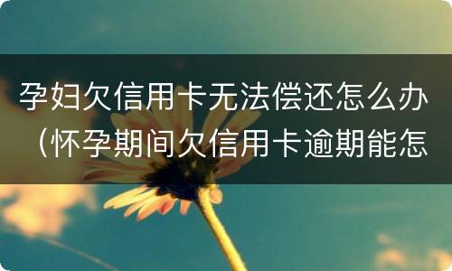 孕妇欠信用卡无法偿还怎么办（怀孕期间欠信用卡逾期能怎么样）