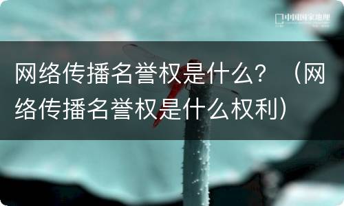 网络传播名誉权是什么？（网络传播名誉权是什么权利）