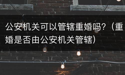 公安机关可以管辖重婚吗?（重婚是否由公安机关管辖）
