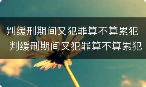 判缓刑期间又犯罪算不算累犯 判缓刑期间又犯罪算不算累犯呢