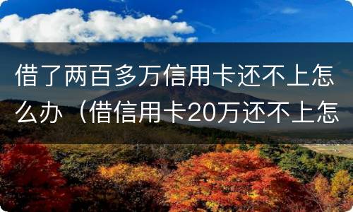 借了两百多万信用卡还不上怎么办（借信用卡20万还不上怎么办）