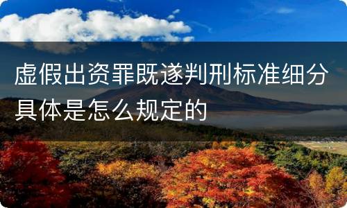 虚假出资罪既遂判刑标准细分具体是怎么规定的