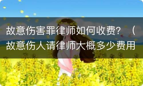 故意伤害罪律师如何收费？（故意伤人请律师大概多少费用）