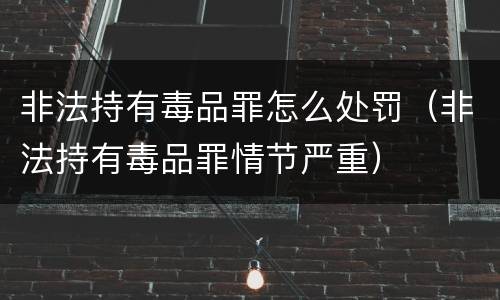 非法持有毒品罪怎么处罚（非法持有毒品罪情节严重）