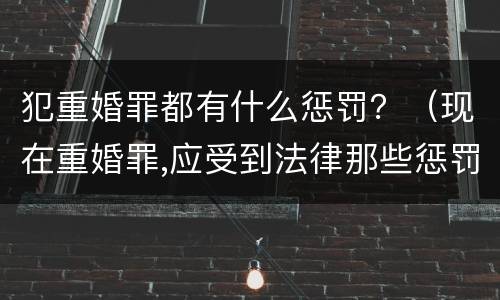 犯重婚罪都有什么惩罚？（现在重婚罪,应受到法律那些惩罚）