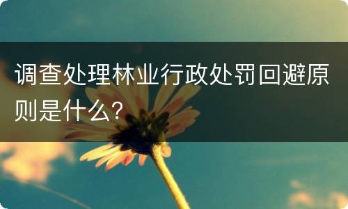 调查处理林业行政处罚回避原则是什么？