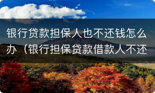 银行贷款担保人也不还钱怎么办（银行担保贷款借款人不还怎么办）