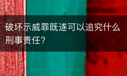 破坏示威罪既遂可以追究什么刑事责任?