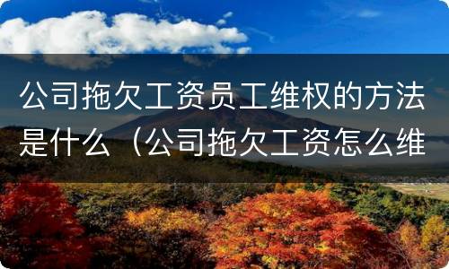 公司拖欠工资员工维权的方法是什么（公司拖欠工资怎么维护权益）