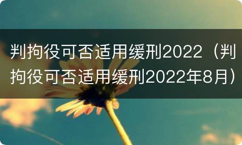 判拘役可否适用缓刑2022（判拘役可否适用缓刑2022年8月）