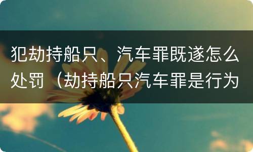犯劫持船只、汽车罪既遂怎么处罚（劫持船只汽车罪是行为犯吗）