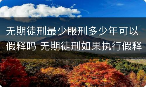 无期徒刑最少服刑多少年可以假释吗 无期徒刑如果执行假释刑期必须要执行多少年以上
