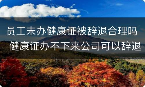 员工未办健康证被辞退合理吗 健康证办不下来公司可以辞退员工吗