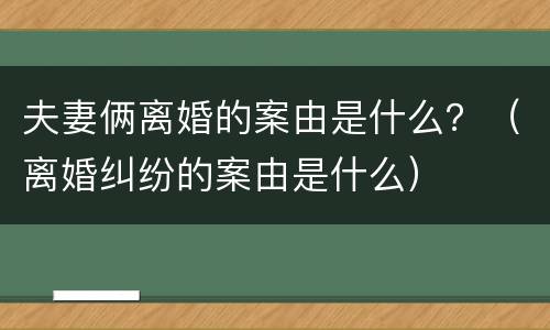 夫妻俩离婚的案由是什么？（离婚纠纷的案由是什么）