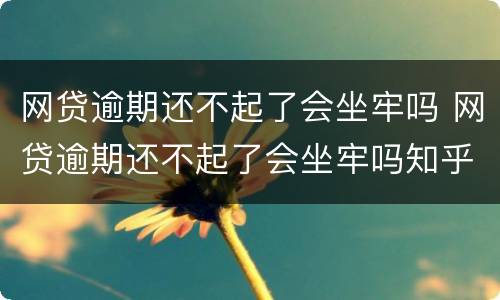 网贷逾期还不起了会坐牢吗 网贷逾期还不起了会坐牢吗知乎