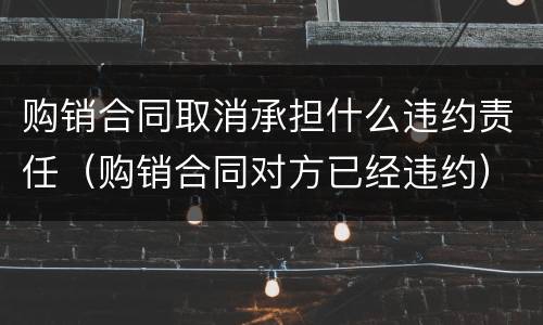 购销合同取消承担什么违约责任（购销合同对方已经违约）