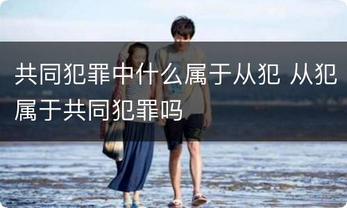 共同犯罪中什么属于从犯 从犯属于共同犯罪吗
