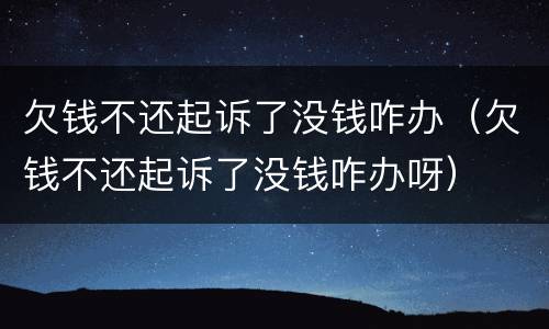 欠钱不还起诉了没钱咋办（欠钱不还起诉了没钱咋办呀）