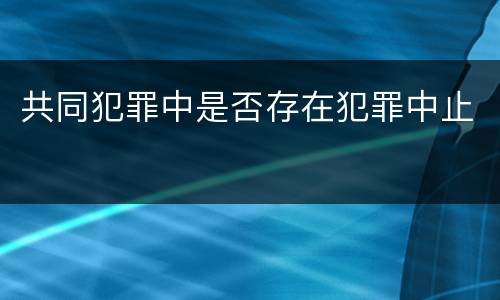 共同犯罪中是否存在犯罪中止