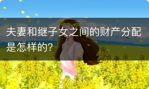 夫妻和继子女之间的财产分配是怎样的？