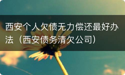 西安个人欠债无力偿还最好办法（西安债务清欠公司）
