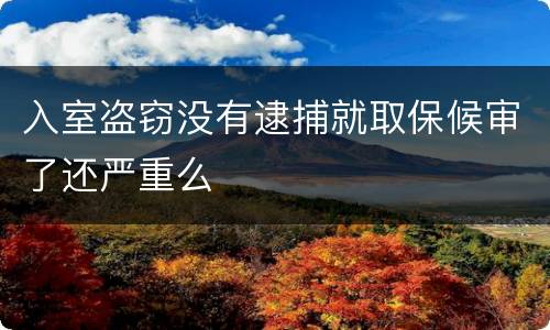 入室盗窃没有逮捕就取保候审了还严重么
