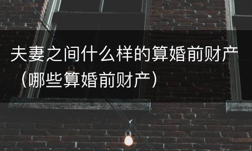 夫妻之间什么样的算婚前财产（哪些算婚前财产）