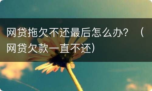 网贷拖欠不还最后怎么办？（网贷欠款一直不还）