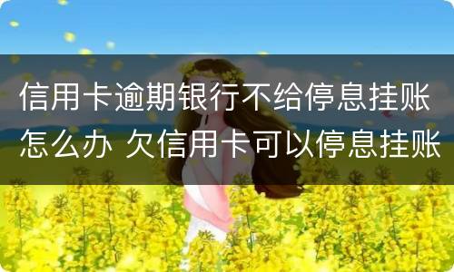 信用卡逾期银行不给停息挂账怎么办 欠信用卡可以停息挂账吗