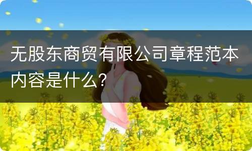 无股东商贸有限公司章程范本内容是什么？