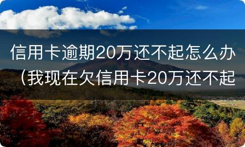 信用卡逾期20万还不起怎么办（我现在欠信用卡20万还不起了怎么办）