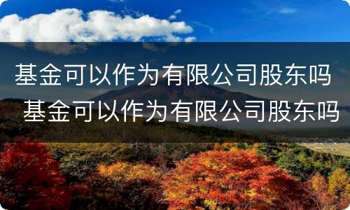 基金可以作为有限公司股东吗 基金可以作为有限公司股东吗对吗