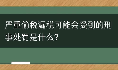严重偷税漏税可能会受到的刑事处罚是什么？