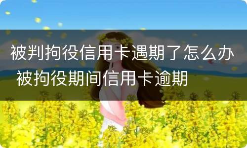 被判拘役信用卡遇期了怎么办 被拘役期间信用卡逾期