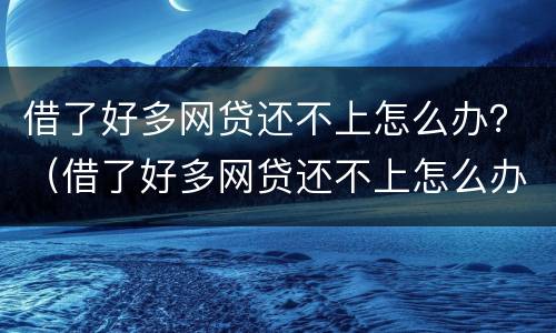 借了好多网贷还不上怎么办？（借了好多网贷还不上怎么办）