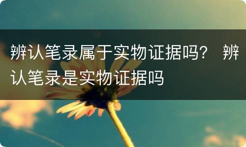 辨认笔录属于实物证据吗？ 辨认笔录是实物证据吗