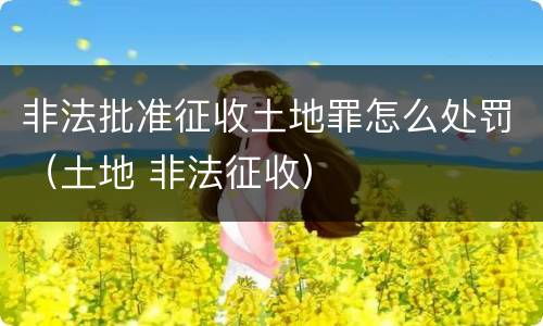非法批准征收土地罪怎么处罚（土地 非法征收）