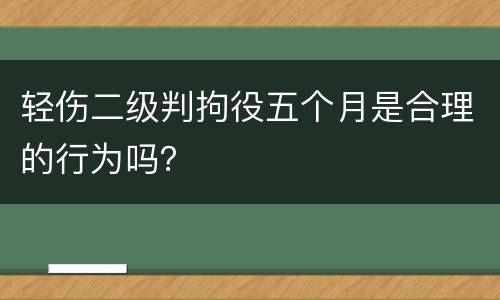 轻伤二级判拘役五个月是合理的行为吗？