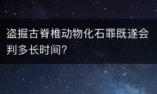 盗掘古脊椎动物化石罪既遂会判多长时间?