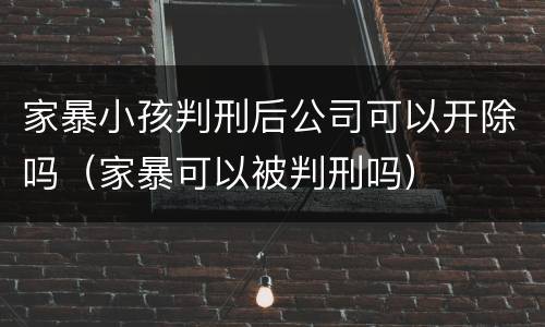 家暴小孩判刑后公司可以开除吗（家暴可以被判刑吗）