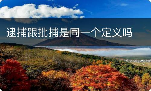 逮捕跟批捕是同一个定义吗